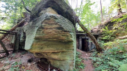 Sonnenstrahlen brechen durch dichte Baumkronen und beleuchten eine Felswand aus Sandstein im Wald.