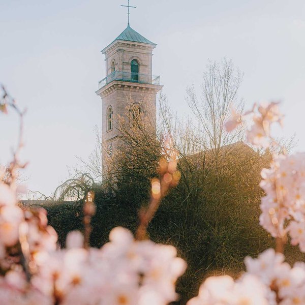 Auferstehungskirche Fürth mit blühendem Kirschbaum im Vordergrund bei sonnigem Frühlingswetter