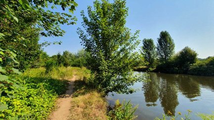 Versteckter Ort in der Natur von Fürth neben einem Fluss mit Bäumen