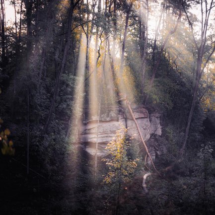 Helles Sonnenlicht dringt durch den bewachsenen Fürther Stadtwald und beleuchtet einen markanten Felsvorsprung