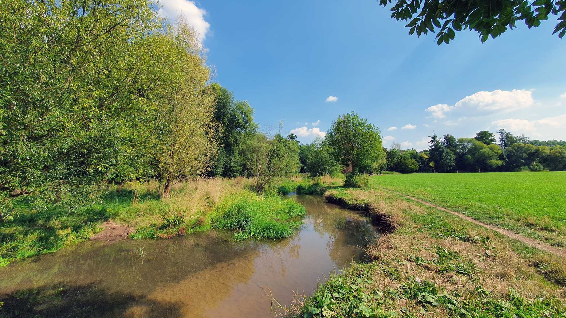 Versteckte grüne Orte in Fürth mit Natur und ruhiger Atmosphäre