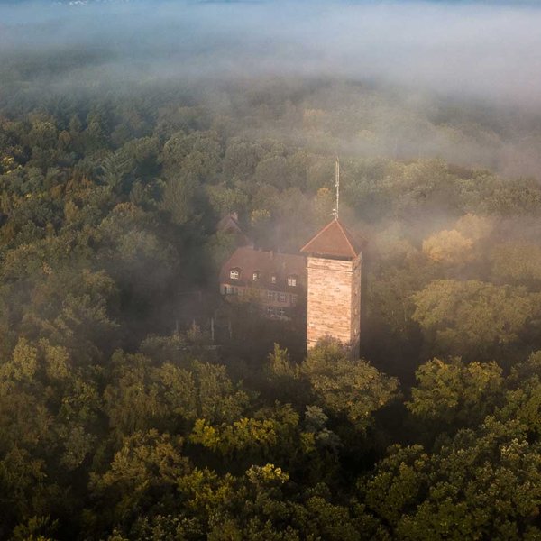 Der historischer Steinturm Alte Veste ragt bei Nebel aus den grünen Baumkronen eines großen Waldgebietes.