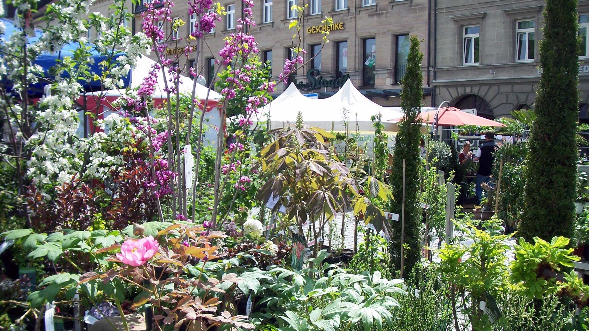 Pflanzen- und Blumenstände auf dem Gartenmarkt, im Hintergrund weitere Marktzelte.