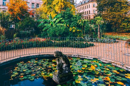 Im Fürther Stadtpark zeigt der Schulgarten im Herbst seine Farbenpracht mit Laub und goldenen Bäumen