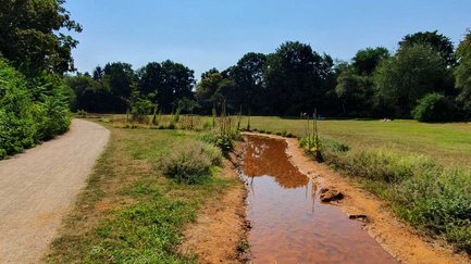 Ein flacher, sandiger Bachlauf fließt an einer großen Wiese und einem Spazierweg im Grünen entlang.