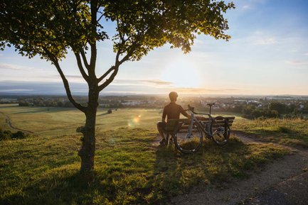 Ein Radfahrer sitzt auf einer Bank neben seinem Gravelbike unter einem Baum und blickt in die weite Landschaft bei Sonnenuntergang.