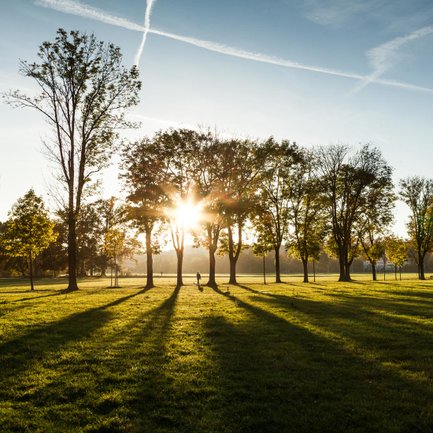 Ein Mann geht mit seinem Hund bei warmem Sonnenschein durch den offenen Naturraum des Wiesengrunds