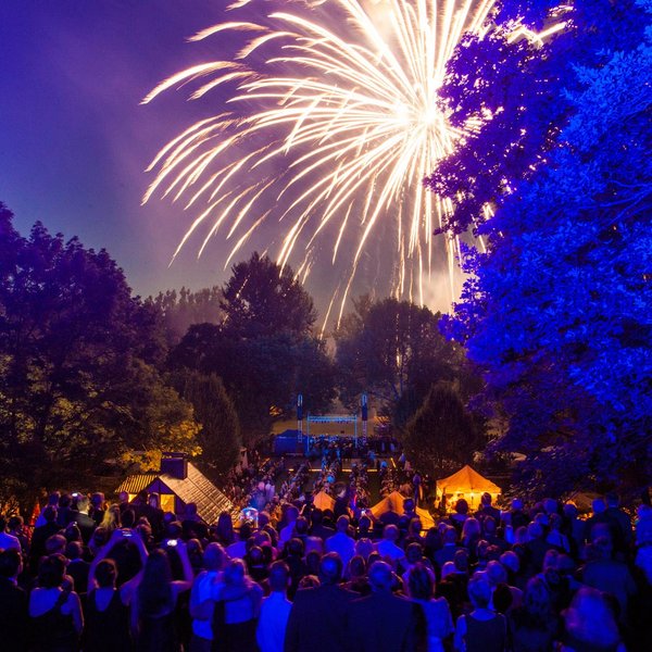 Gäste des Sommernachtsballs stehen im Freien und bewundern gemeinsam das farbenfrohe Feuerwerk am Himmel.