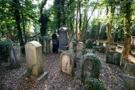 Historische, teils mit Efeu bewachsene Grabsteine unter schattigen Bäumen auf einem Friedhof.