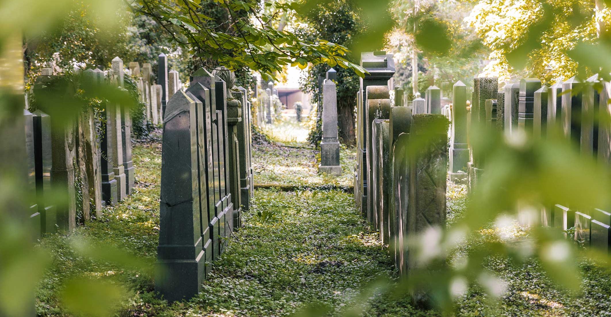 Alter jüdischer Friedhof mit aneinandergereihten Grabsteinen, Bäumen und stiller, würdevoller Atmosphäre.