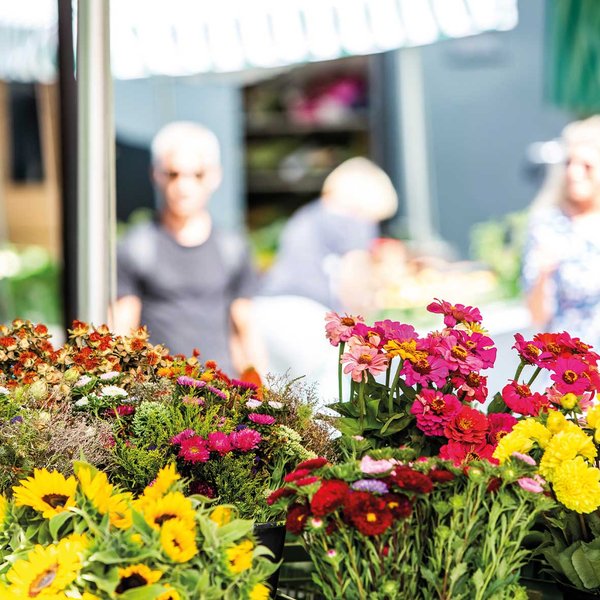 Gelb-rote Blumen auf dem Fürther Markt in Fürth mit unscharfen Besucherinnen im Hintergrund