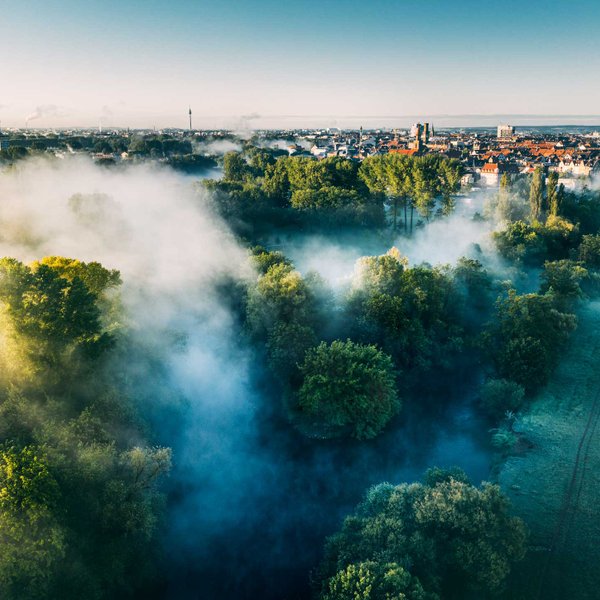 Dichter Nebel schwebt über dem Zusammenfluss zweier Flüsse inmitten grüner Bäume vor einer Stadt.