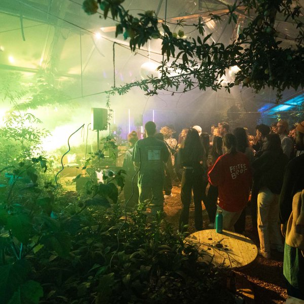 Besucher tanzen im beleuchteten Gewächshaus zwischen Pflanzen zu DJ-Musik beim Festgartenfest.