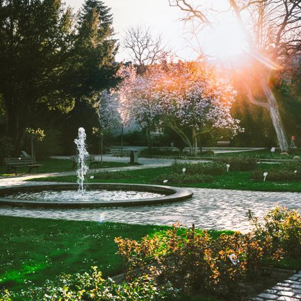 Springbrunnen im Fürther Stadtpark umgeben von blühenden Kirschblüten an einem sonnigen Frühlingstag