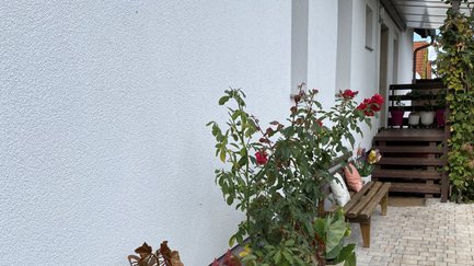 Begrünter Eingangsbereich des Apartments Falke in Fürth mit Weg und kleiner Sitzbank