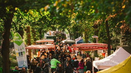 Apfelmarkt mit Marktständen entlang der Stadtpark-Allee, Besucher schlendern unter grünen Bäumen.