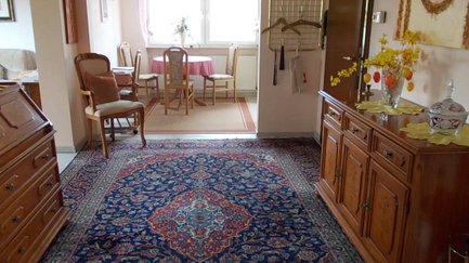 Wohnbereich im Apartment Angelika in Fürth mit Blick in den Essbereich