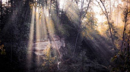 Felsen im Stadtwald von Fürth umgeben von Bäumen und natürlicher Umgebung