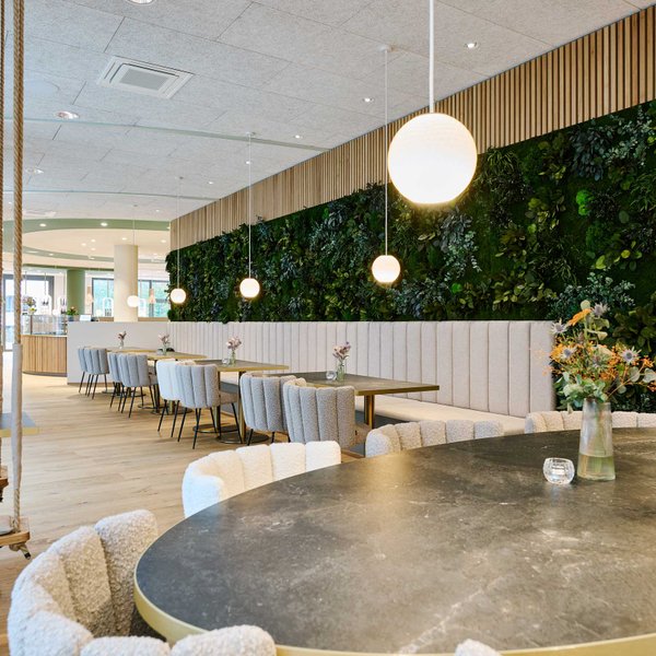 Gemütlicher Innenraum im Café Seasons in Fürth mit Polsterbank Holzoptik Lampen und bepflanzter Wand