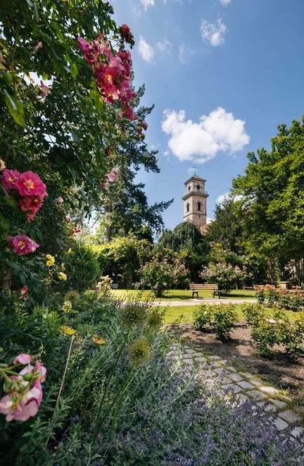 Fürther Rosengarten im Stadtpark mit vielen Blumen und dem Turm der Auferstehungskirche.