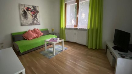 Wohnzimmer des Apartments Falke in Fürth mit gemütlicher Einrichtung und dezenter Dekoration