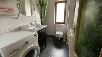 Badezimmer im Apartment Falke in Fürth mit Dusche, WC und Waschmaschine