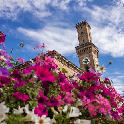 Natürlicher Rahmen aus bunten Blumen umschließt den Rathausturm in der Fürther Altstadt
