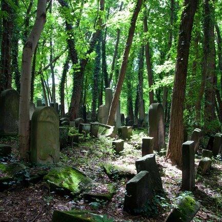 Zahlreiche Grabsteine in verschiedenen Größen auf dem Alten Jüdischen Friedhof in Fürth, umgeben von Bäumen