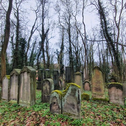 Zahlreiche alte Grabsteine sind mit Moos bedeckt und prägen den Alten Jüdischen Friedhof in Fürth
