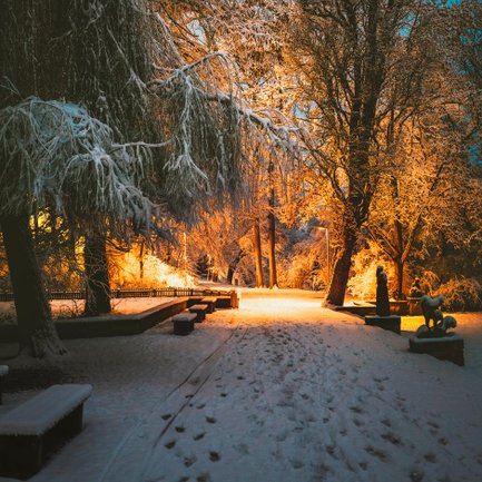 Fürther Stadtpark im Winter, wo Fußspuren von Spaziergängern durch den frisch gefallenen Schnee führen