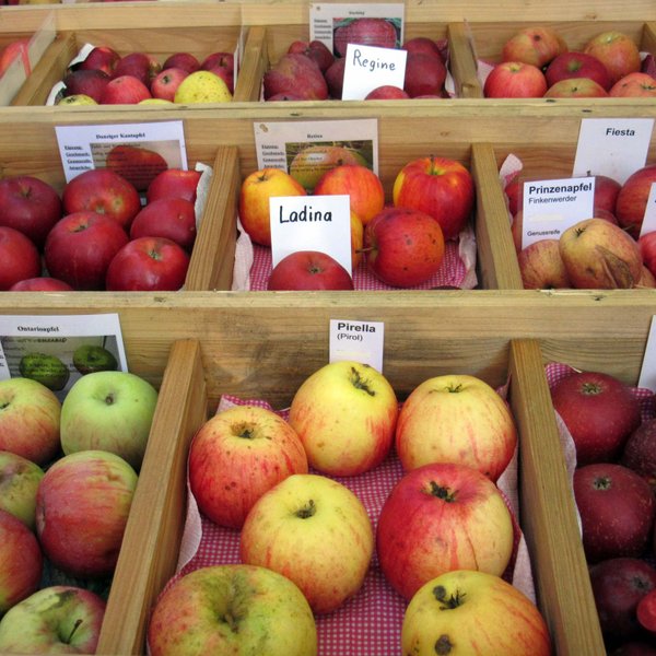 Mehrere Abteilungen mit unterschiedlichen, beschilderten Apfelsorten auf dem Apfelmarkt.