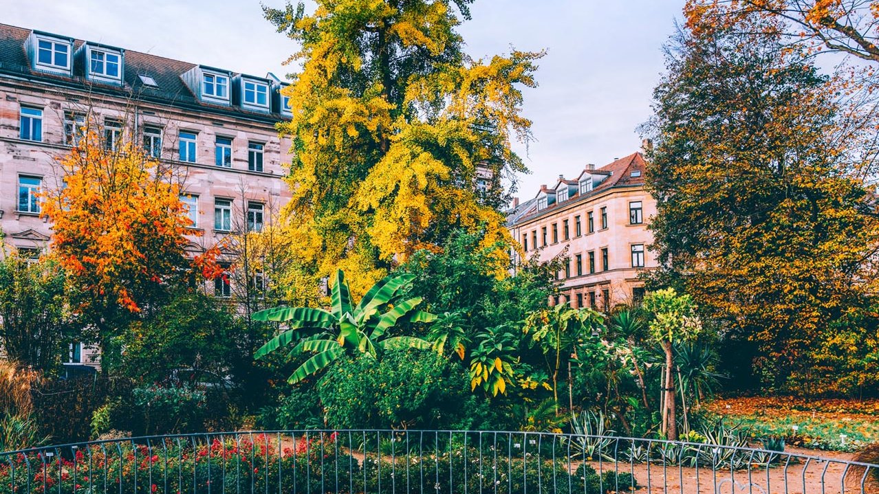 Im Fürther Stadtpark liegt der Teich mit der Quell-Nymphe, umgeben von herbstlichem Laub und Bäumen.