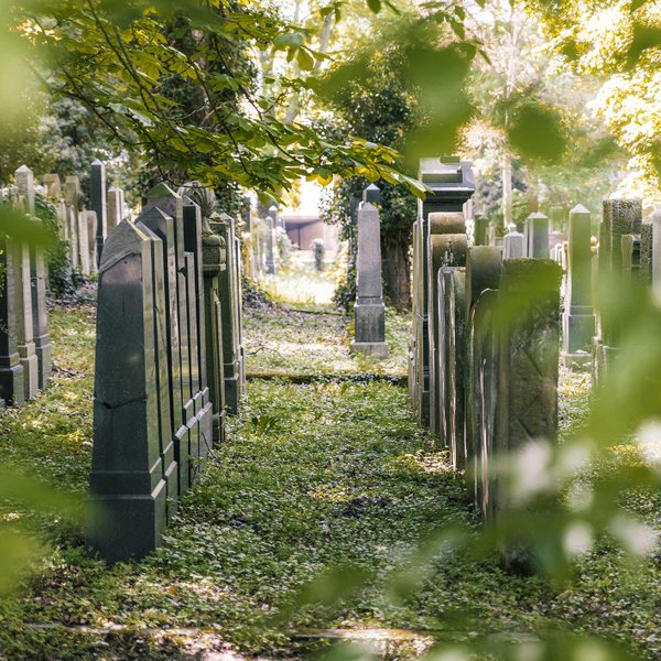 Alter jüdischer Friedhof mit aneinandergereihten Grabsteinen, Bäumen und stiller, würdevoller Atmosphäre.