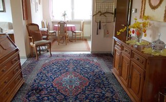 Wohnbereich im Apartment Angelika in Fürth mit Blick in den Essbereich