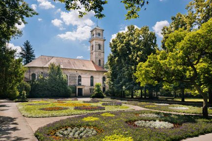 Bunte Blumen im Stadtpark Fürth vor der Auferstehungskirche bei blauem Himmel und grünen Bäumen.