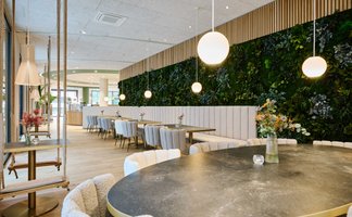 Gemütlicher Innenraum im Café Seasons in Fürth mit Polsterbank Holzoptik Lampen und bepflanzter Wand