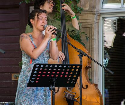 Zwei Musiker bei der Grünen Nacht in Fürth.