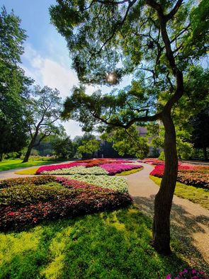 Stadtpark Fürth Die Bäume und Blumen im Stadtpark Fürth.