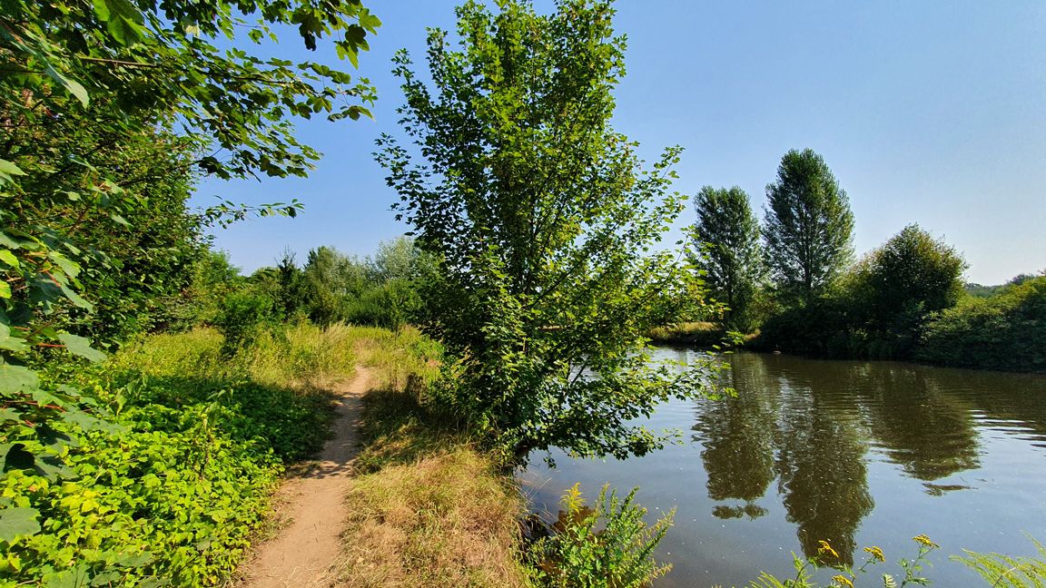 Trampelpfad entlang der Pegnitz Richtung Stadtpark