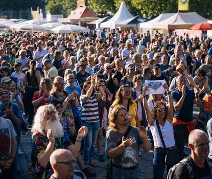 New Orleans Festival_10 Das Publikum feiert vor der Bühne die Künstler und hebt die Arme in die Luft.