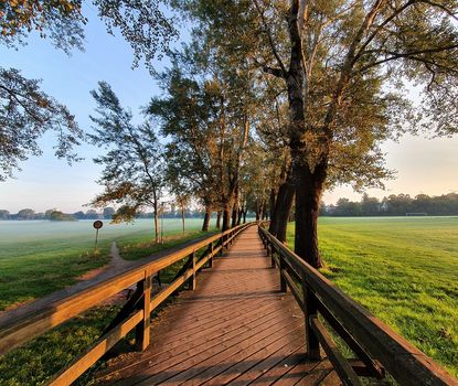 Wiesengrund Pappelsteig Blick auf dem hölzernen Pappelsteig im Fürther Wiesengrund.